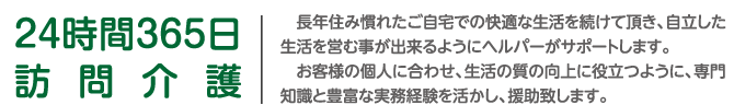 24時間365日訪問介護