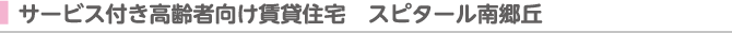 サービス付き高齢者向け賃貸住宅　スピタール南郷丘